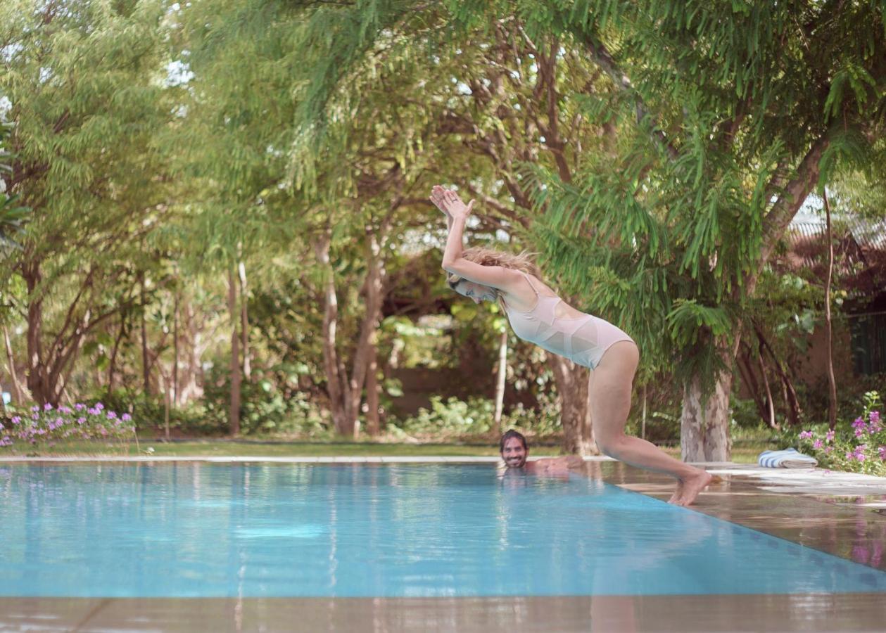 Pushkarorganic - Lux Farm Resort With Pool Екстер'єр фото