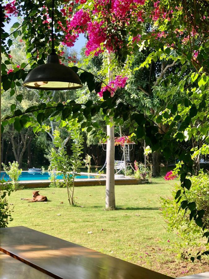 Pushkarorganic - Lux Farm Resort With Pool Екстер'єр фото