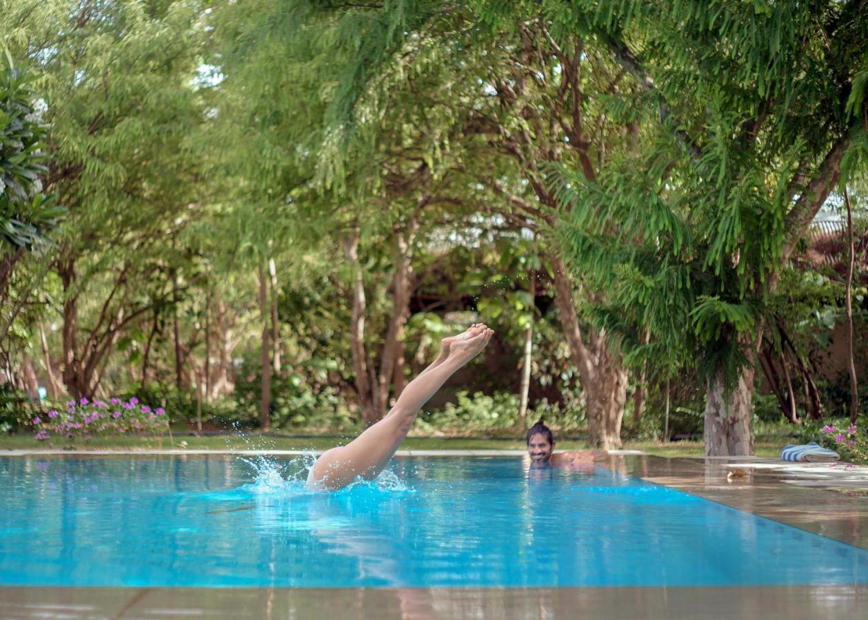 Pushkarorganic - Lux Farm Resort With Pool Екстер'єр фото