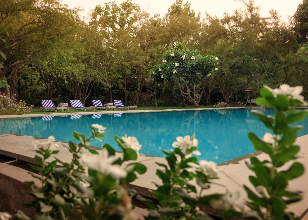 Pushkarorganic - Lux Farm Resort With Pool Екстер'єр фото
